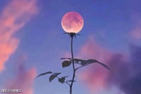 10首中秋节诗歌，五言绝句，诗短情长，浓缩的精华