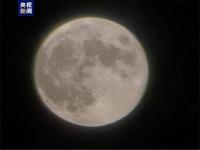 嘿，抬头！“超级月亮”拍了拍你