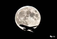 明月照归人：“超级月亮”现身中秋之夜！