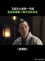飞流无心说的一句话直接暴露了梅长苏的真实身份
