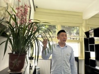 中山公园第四代养兰人：四季呵护，只为兰花“十一”最佳绽放