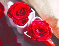 十月：愿你心有所爱，眼底有光