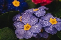 身边出现这两个人，就是走福运的开始，老天爷都会帮你