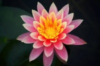 当你诸事不顺时，需要学会这三种改变命运的方式