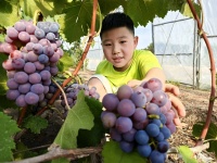 粮仓好“丰”景丨“秋收画卷”等你来打开