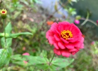 人开始走好运，一定会有的迹象，你中了几个