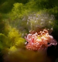 【原创诗词】三人行 | 笑一生、淡饭粗衣，莫学渊明两误（诗词唱和六首）