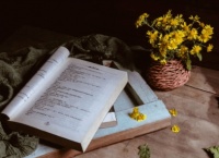 为什么有的人年纪轻轻，见识格局都高于常人？| 荐号