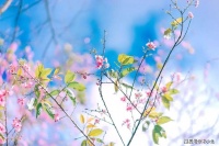 内心强大的女人，会有的特征