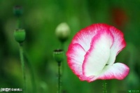 【高考作文】品评《人民日报》时评文《体味人生“上止正”》，悟同题写作