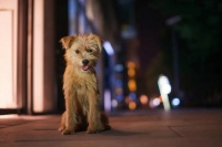 品读｜你有多久没有认真聆听另一个人的述说了?