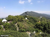 【古诗词鉴赏】宋代诗人王安石《游钟山》诗赏析