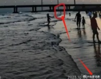 她的最后一次露面是在当天的16：01……