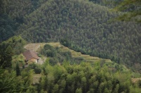 退休老人去老家转一圈，就会发现“回农村养老”是不太适合的