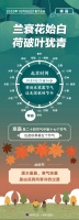 （图表）［节令之美·寒露］2023年10月8日21时16分寒露：兰衰花始白，荷破叶犹青