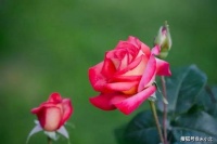 人到中年，不管你有多少存款，也不要做这两件事