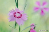 感情里，在这两个时刻选择装聋作哑的男人，根本就不爱你