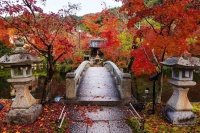 诗词丨又是人间一度秋，层林尽染万山红