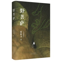 黎紫书《野菩萨》由十月文艺出版社出版 含全新篇目《海》
