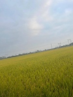 入戏太深，观之不雅