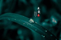 今日寒露 | 袅袅凉风动 菊黄秋意浓