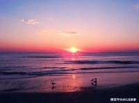 欲买桂花同载酒，终不似，少年游