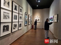 “江苏紫金文化优青系列展”杨运高·郑长安双个展开幕