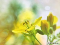 和长相年轻的人在一起，就是最好的滋养