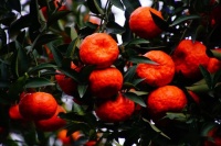 ​王志英：热爱是幸福的源泉——聆听汪志广老师讲座有感