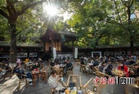 天府文化云讲堂：走进茶香四溢的“安逸成都”