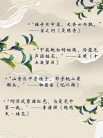 真香！闵行这里都是桂花味儿的！