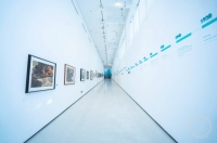 直击重庆美术发展史！来这场展览看看川美有哪些馆藏宝贝