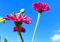 感情中，有这种心理的女人，越容易失去所爱之人