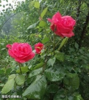 人人都看于文亮，人人都是“于文亮”