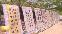 阳江：20多名书法家现场挥毫 送廉洁家风进万家