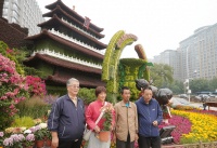 最靠近观众的区域留出来！东四居民手植菊花摆上长安街