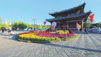 太原双塔公园：菊花飘香引客来
