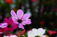 一个人消除烦恼的能力：屏蔽力