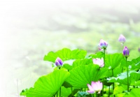 陈雨露校长：叶嘉莹深刻诠释“南开之魂”