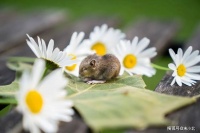 真正活得通透的人，不会和穷人走得太近