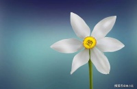 一个家庭最大的悲哀，不是没有钱，而是做了这两件事