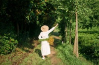 看了2023诺奖《有人将至》，才知道何谓无常、何谓孤独、何谓死亡