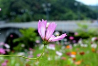 过了五十岁后，要在这三处保持干净，避免晚景凄凉