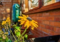 男人心里清清楚楚，却不愿意对女人坦诚的几个秘密