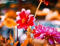 真正厉害的女人，会这样对待男人