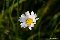 当着你的面，做过这些事的人，最好不要深交