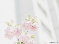 人到中年，无论你跟谁相处，都要留几个心眼