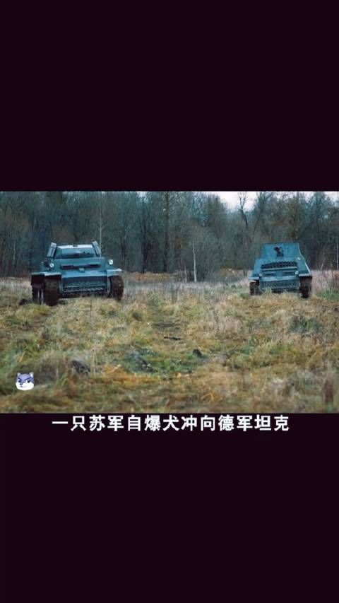 苏军自爆犬三进三出,炸完坦克炸火车