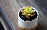 人过五十，与外人关系再好，也不要透露子女的“4个秘密”