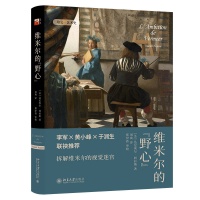 ​《维米尔的野心》逐层拆解维米尔的视觉迷宫